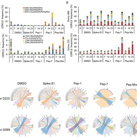 Bulk Tcr Repertoire Analysis After In Unexposed Donors Following In Download Scientific Diagram