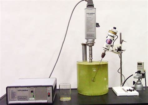 Scale-up of Ultrasonic Extraction Processes