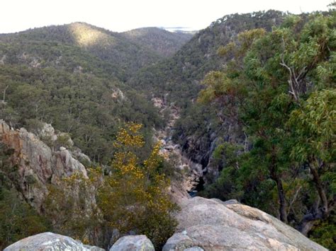 Crows Nest National Park Valley Of Diamonds The Lone Trail Wanderer