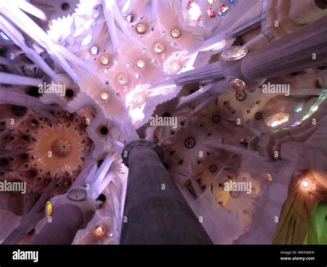 Sagrada Familia Ceiling Hi Res Stock Photography And Images Alamy