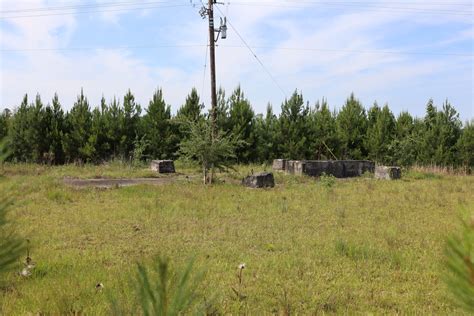 Choctaw County Alabama Jail Log: Recent Inmate Information 20