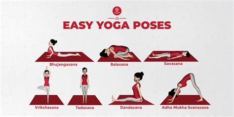 Yoga Exercises For Beginners With Pictures | Blog Dandk