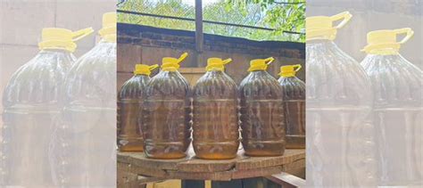 Льняное масло для лошадей купить в Москве | Животные и зоотовары | Авито