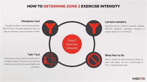 Zone 2 Training Benefits Science And How To Guide