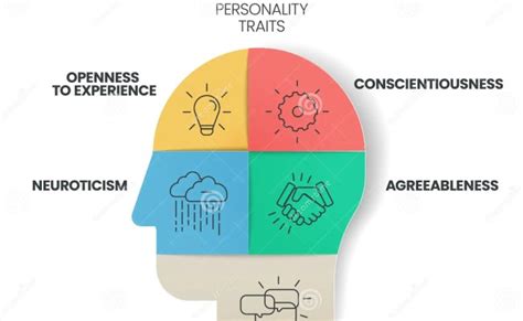 La Infografia De Los Rasgos De Personalidad De Los Cinco Grandes Tiene 4 Tipos De Personalidad