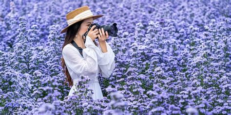 Les Images Qui Vendent Comment Sélectionner Les Photos Pour Vos