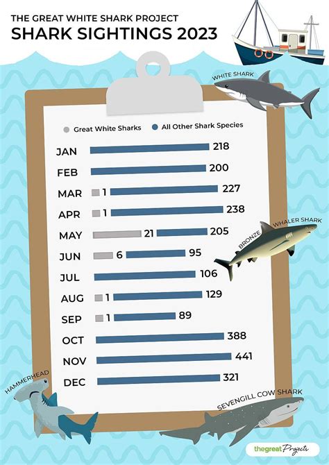 The Great White Shark Project - 2023 Sightings | The Great Projects