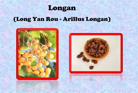 Longan Long Yan Rou Arillus Longan