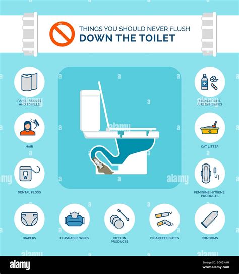 Things You Should Never Flush Down The Toilet Infographic How To