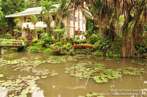 Philippine Eagle Center - Philippines Tour Guide