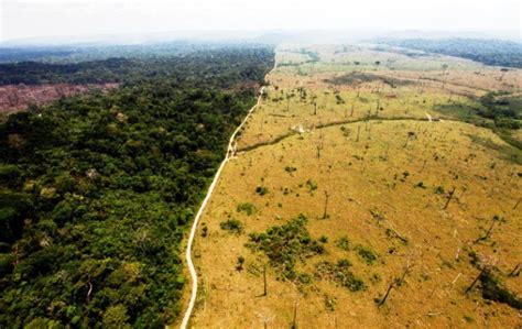 Foto Miris Perubahan Lingkungan Ini Buktikan Bumi Memang Sudah