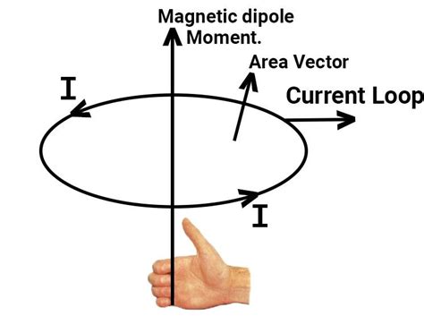 Magnetic Dipole Moment Of A Circular Current Carrying Loop