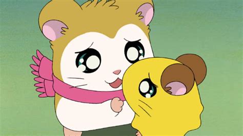 とっとこかわいい! ちび丸ちゃん・とっとこハム太郎（シーズン1、第34話） - Apple TV (日本)