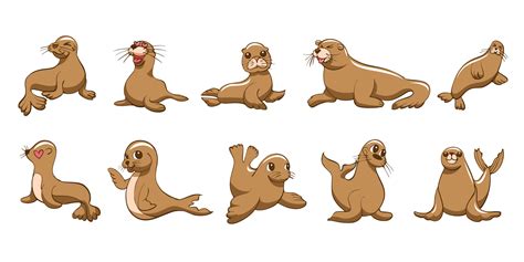 Sea lion vector set collection graphic clipart design 23156841 Vector ...