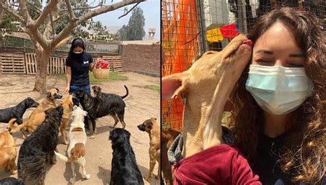 Wuf Reactiva Las Visitas Solidarias A Albergues De Perros En Lima