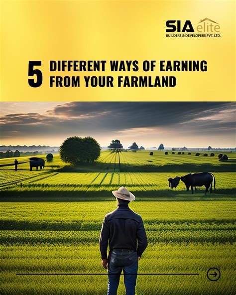 SIA Elite | Let your farmland work for you! Whether it's leasing, Agri