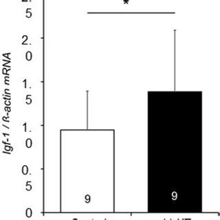 Changes In Expressions Of Insulin Like Growth Factor Igf Mrna In