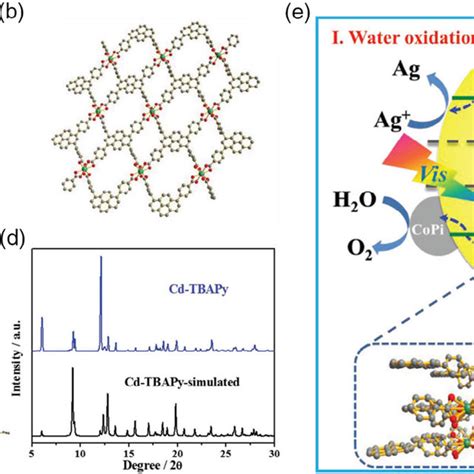 The Structure And Analysis Of Cd Tbapy A The Coordination Mode Of The