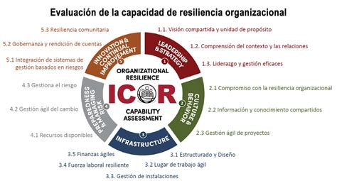 Evaluaci N De La Capacidad Drj En Espa Ol