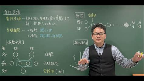 中3理科 生物 導入③ 有性生殖 Youtube