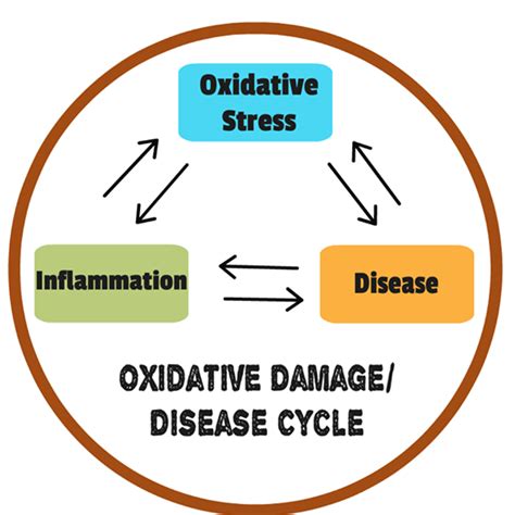 What Is Oxidative Stress Multiple Sclerosis Ms Health Coaching