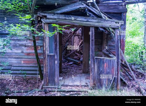 A Wooden House In Ruins A Broken Hut Abandoned House In The Forest