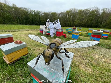 Initiation L Apiculture Dans Le Parc De Coupvray Abeilles Et Miel