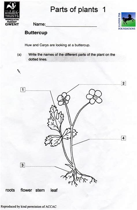 Science For Grade 1 Worksheets