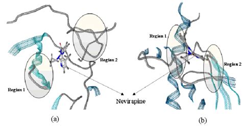 Comparison Of Nevirapine Binding Site In Both Hiv 1 Rt A And Rt