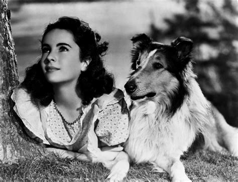 6 Things You Didn T Know About Lassie