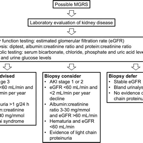 Proposed Algorithm For Renal Biopsy In Patients With Monoclonal