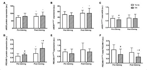 Protein Expression And Relative Phosphorylation Of Enos And Download Scientific Diagram