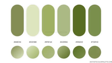 light green color palettes Archives - Aesthetic Color Palette