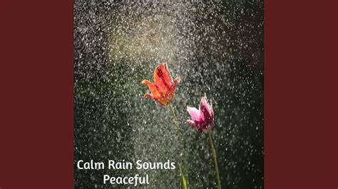 Relaxing Gentle Rain Sound - YouTube