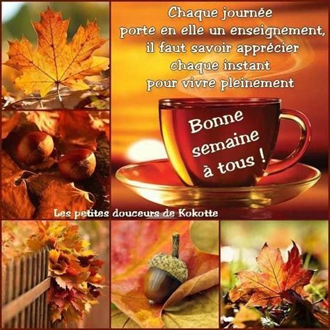 ᐅ 131 Bonne semaine images photos et illustrations pour whatsapp