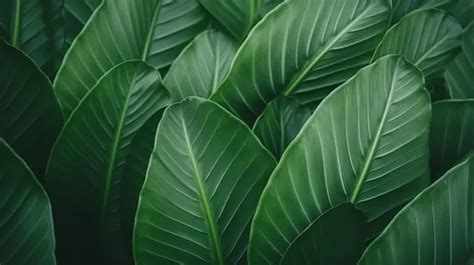 Vintage Green Striped Nature Background Abstract Eco Friendly Leaf