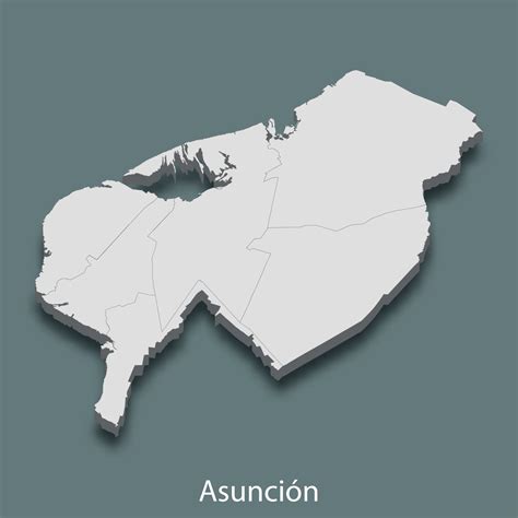 Mapa isométrico 3d de asunción es una ciudad de paraguay 11309694