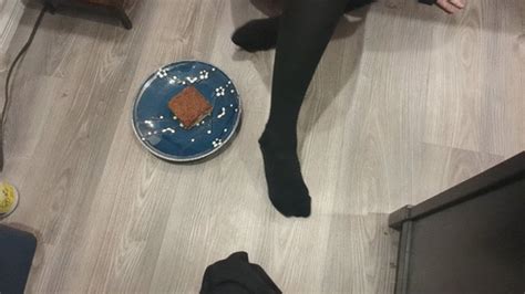 College Girl Barefoot Cake Crush And Pussy Fingering Meow Clips4sale