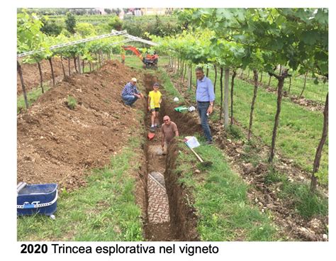 Quel Tesoro Archeologico Nascosto Sotto Le Vigne Che Oggi Riaffiora