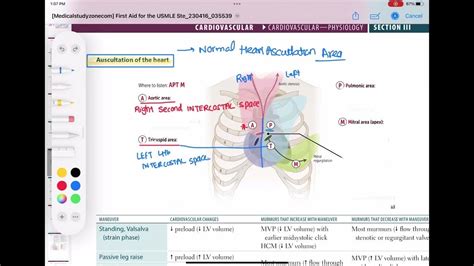 Auscultation Of The Heart Cardiology 34 First Aid Usmle Step 1 In Urdu Hindi Youtube