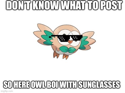 I Freaking Love Rowlet Imgflip