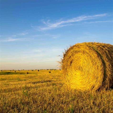 preventing hay fires indiana farmers insurance