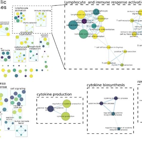 Networks Of Enriched Go Biological Process Functions In Two