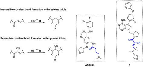 Irreversible And Reversible Covalent Bond Formation Between