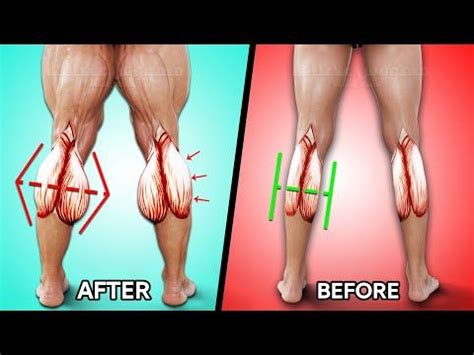 Melhores Exerc Cios Para Panturrilha Youtube Calf Exercises Calf