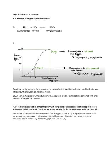 As Biology Topic 8 Transport Of Oxygen And Carbon Dioxide Worksheet