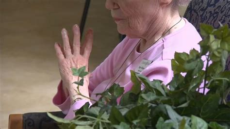 study  psychology  aging finds  perception
