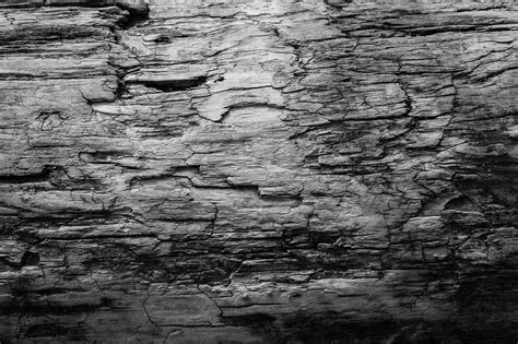 Textura En Blanco Y Negro Madera Foto Gratis En Pixabay Pixabay