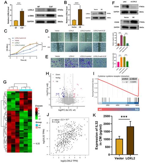 Ijms Free Full Text Integrated Analysis Revealed An Inflammatory