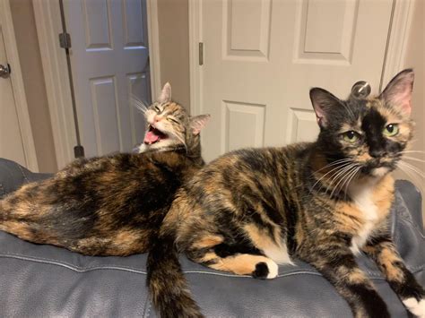 Best Abandoned Gas Station Images On Pholder Abandoned Porn Abandoned And Urbanexploration